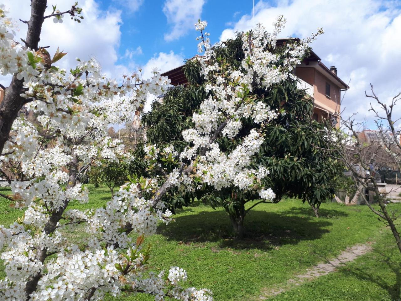 B&B Il Giardino Di Gabri Rzym Zewnętrze zdjęcie