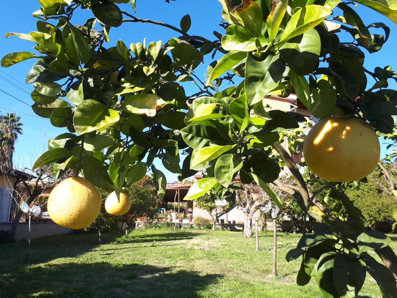 B&B Il Giardino Di Gabri Rzym Zewnętrze zdjęcie