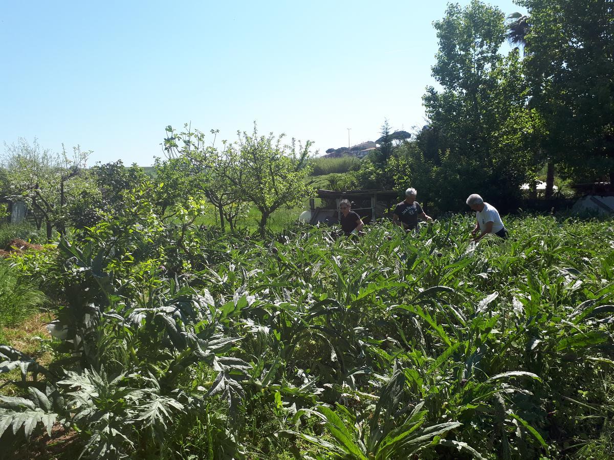 B&B Il Giardino Di Gabri Rzym Zewnętrze zdjęcie