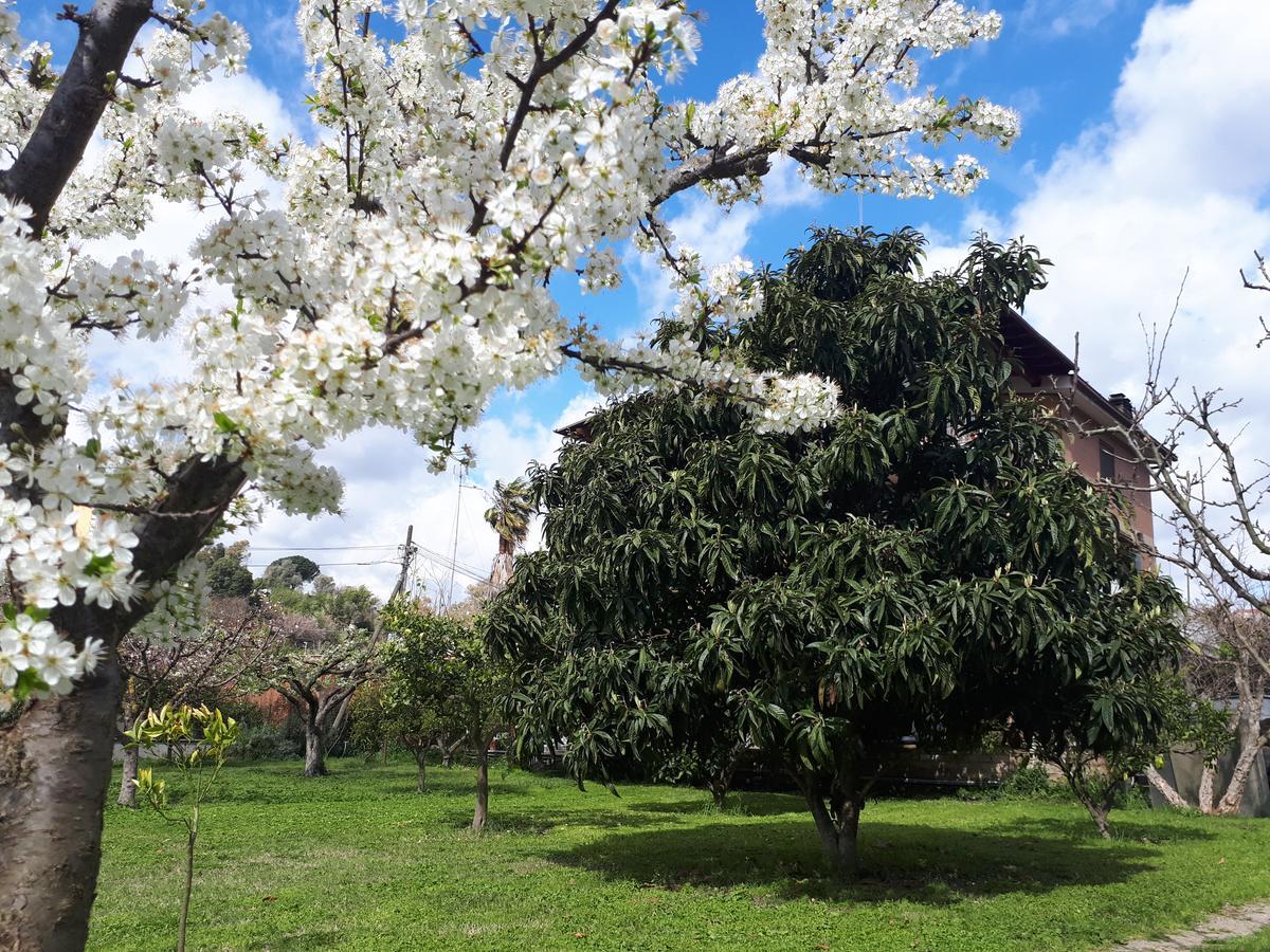 B&B Il Giardino Di Gabri Rzym Zewnętrze zdjęcie